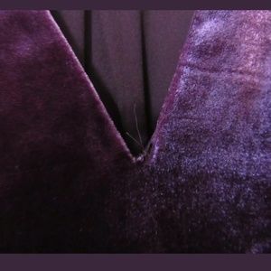 joie ance velvet top